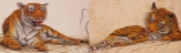banner5